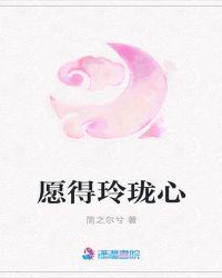 愿得玲珑心章节列表