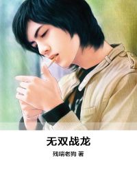 无双战龙章节列表