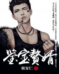 鉴宝赘婿章节列表