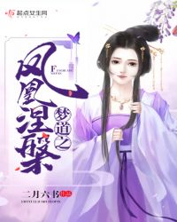 梦道之凤凰涅槃章节列表