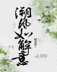 溯风如解意章节列表