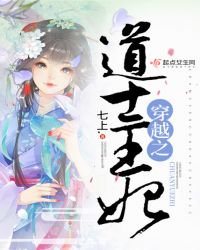 穿越之道士王妃章节列表