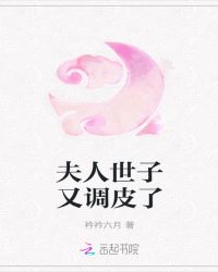 夫人世子又调皮了章节列表