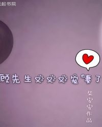 顾先生又又又宠妻了章节列表