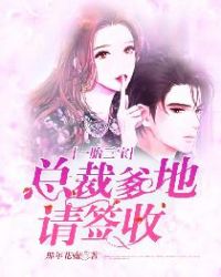 一胎三宝：总裁爹地请签收章节列表