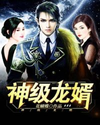 神级龙婿章节列表