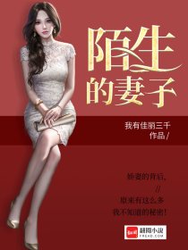陌生的妻子章节列表