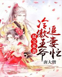 双宝来袭，冷傲王爷追妻忙章节列表