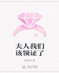 夫人我们该领证了章节列表