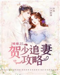 暖婚之贺少追妻攻略章节列表