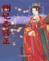 侧妃要转正章节列表