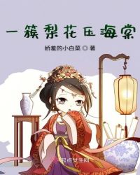 一簇梨花压海棠章节列表