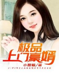 极品上门豪婿章节列表