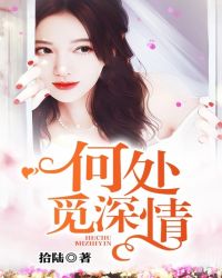 何处觅深情章节列表