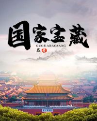 国家宝藏章节列表
