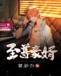 至尊豪婿章节列表