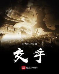 交手章节列表