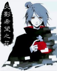 [火影]希望之花章节列表