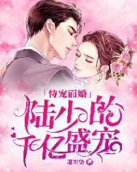 恃宠而婚：陆少的千亿盛宠章节列表