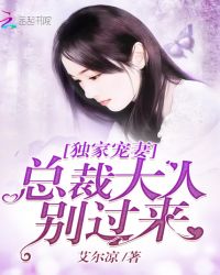独家宠妻：总裁大人别过来章节列表