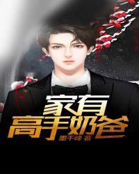 家有高手奶爸章节列表