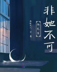 陆先生非她不可章节列表