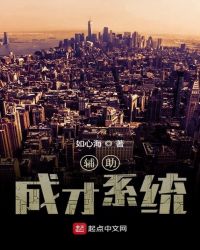 辅助成才系统章节列表