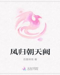 凤归朝天阙章节列表