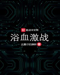 浴血激战章节列表