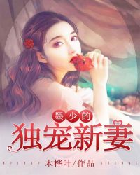 墨少的独宠新妻章节列表