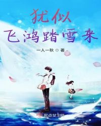 犹似飞鸿踏雪来章节列表