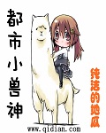 都市小兽神章节列表