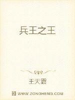 兵王之王章节列表