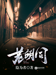 老胡同章节列表
