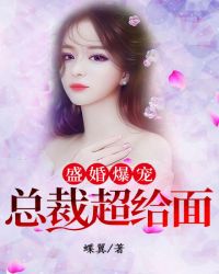 盛婚爆宠：总裁超给面儿章节列表
