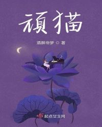 顽猫章节列表