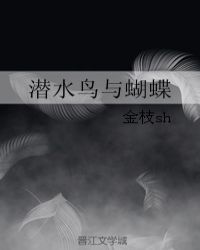 潜水鸟与蝴蝶章节列表