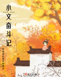 小文奋斗记章节列表
