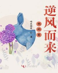 心的悸动之他的爱逆风而来章节列表