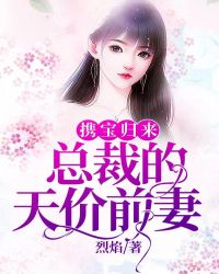携宝归来：总裁的天价前妻章节列表