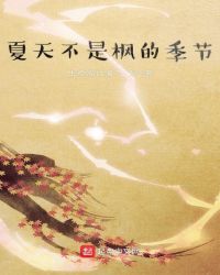 夏天不是枫的季节章节列表