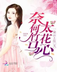 奈何竹马太花心章节列表