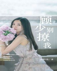 顾少，别撩我章节列表