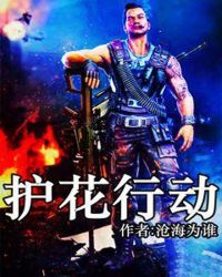 护花行动章节列表