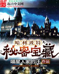 哈利波特与秘密宝藏章节列表