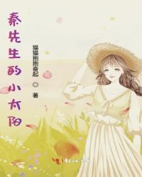 秦先生的小太阳章节列表