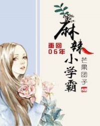 重回06年：麻辣小学霸章节列表