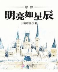 愿你明亮如星辰章节列表