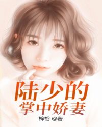 陆少的掌中娇妻章节列表