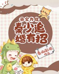 萌宝为媒：秦少追婚有招章节列表